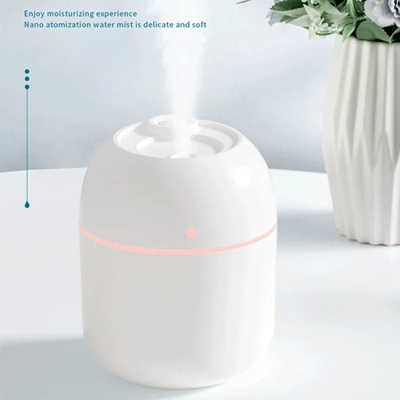 Portable 220ml H2o humidifier