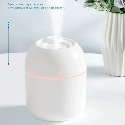 Portable 220ml H2o humidifier