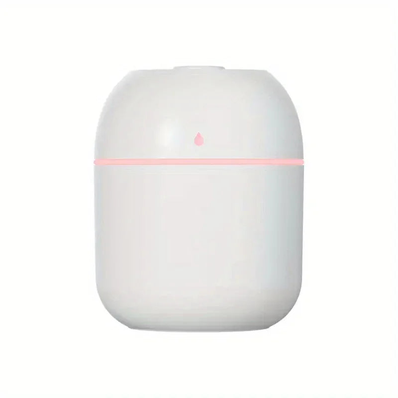 Portable 220ml H2o humidifier