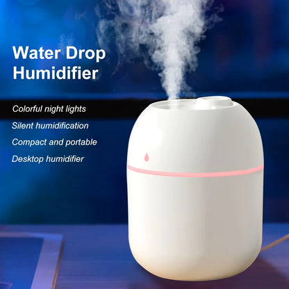 Portable 220ml H2o humidifier